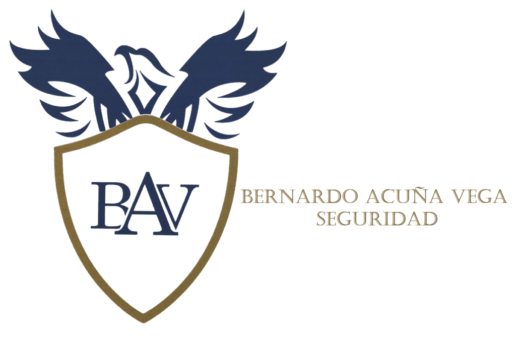 BAV Seguridad