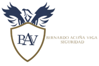 BAV Seguridad
