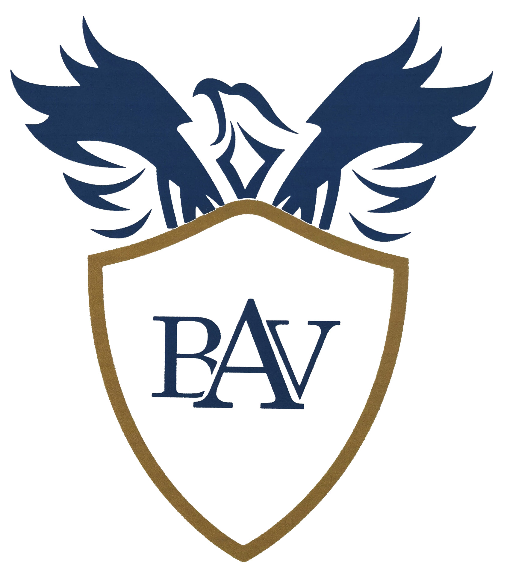 Bav seguridad